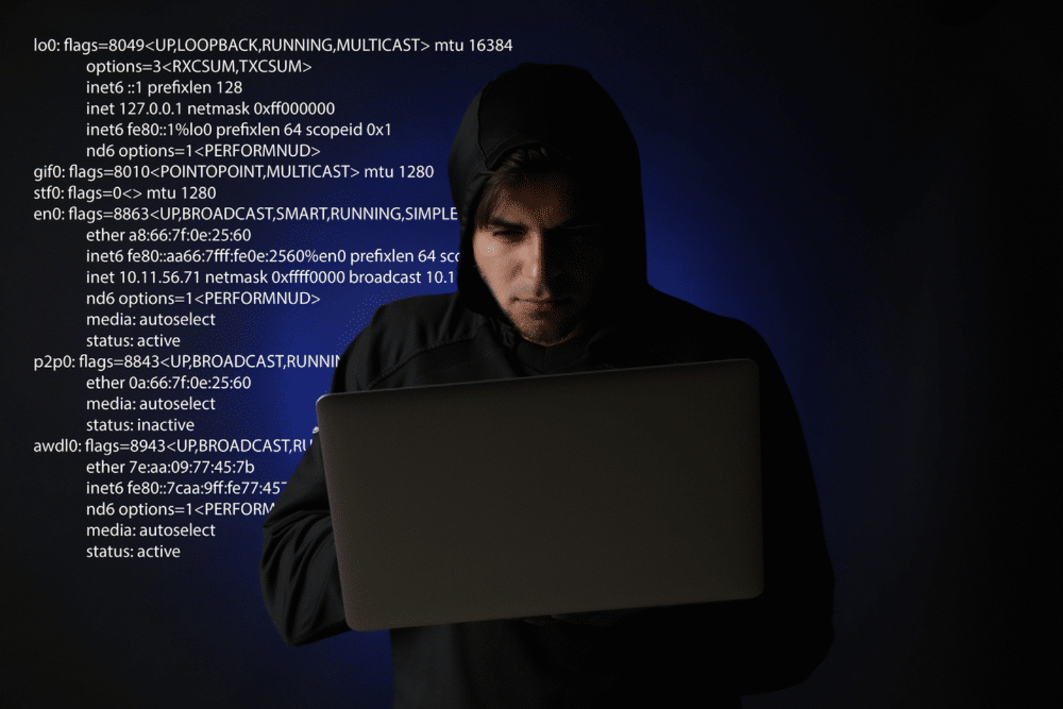 keep your wordpress website secure